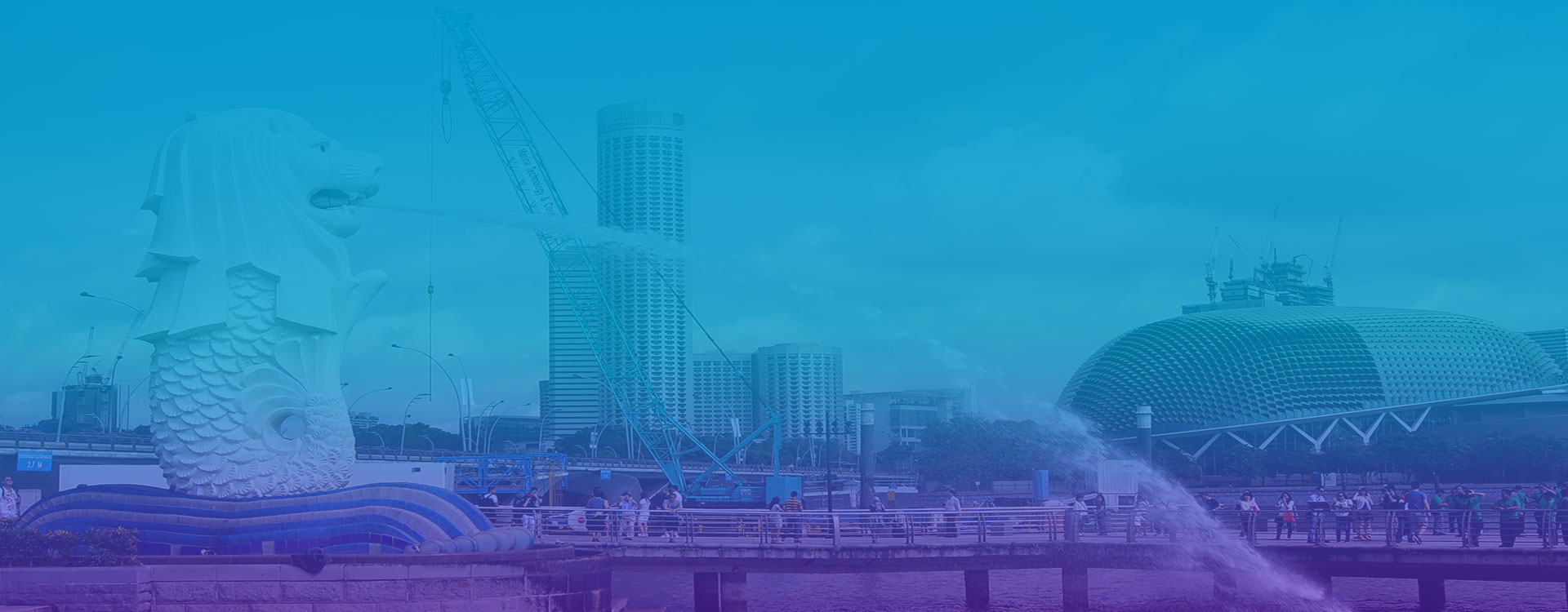 创造国际化的就业机会